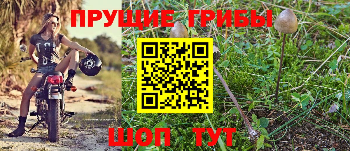 Псилоцибиновые грибы мухоморы Хабаровск