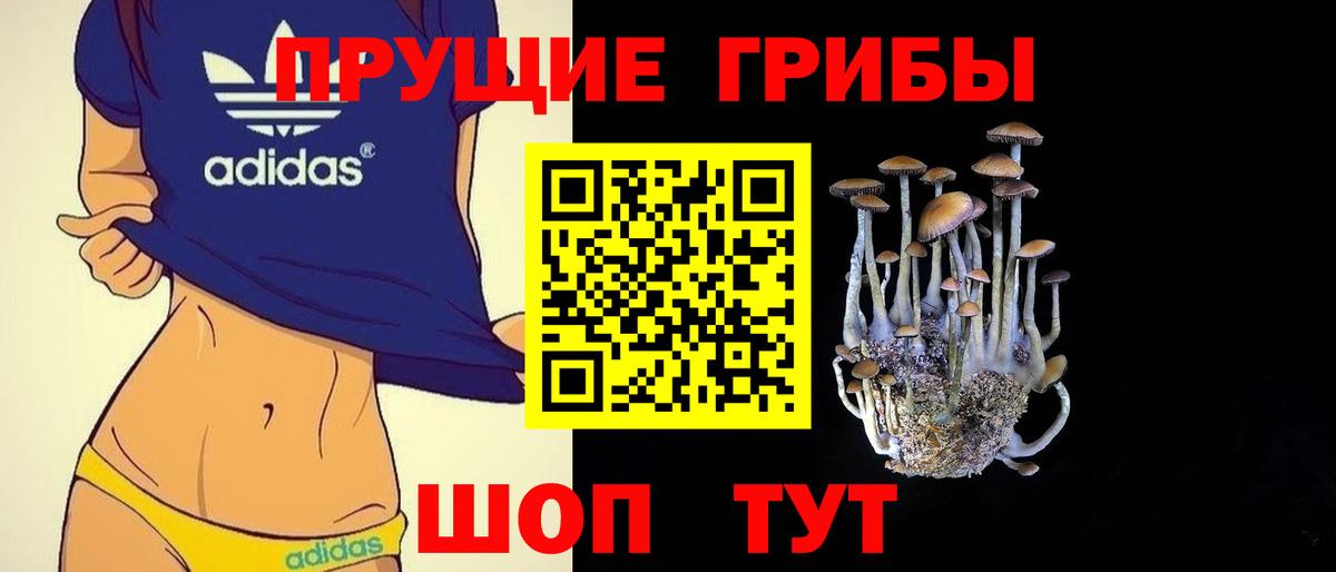 Псилоцибиновые грибы Cubensis  Вход с VPN  Хабаровск 